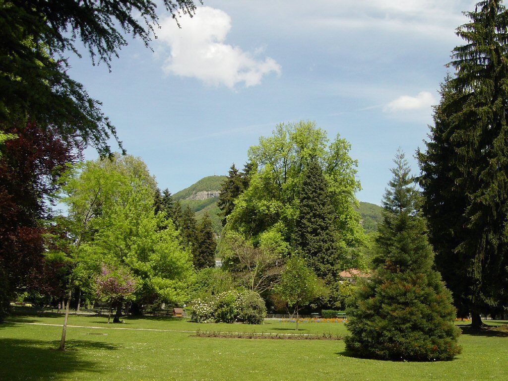Przyroda