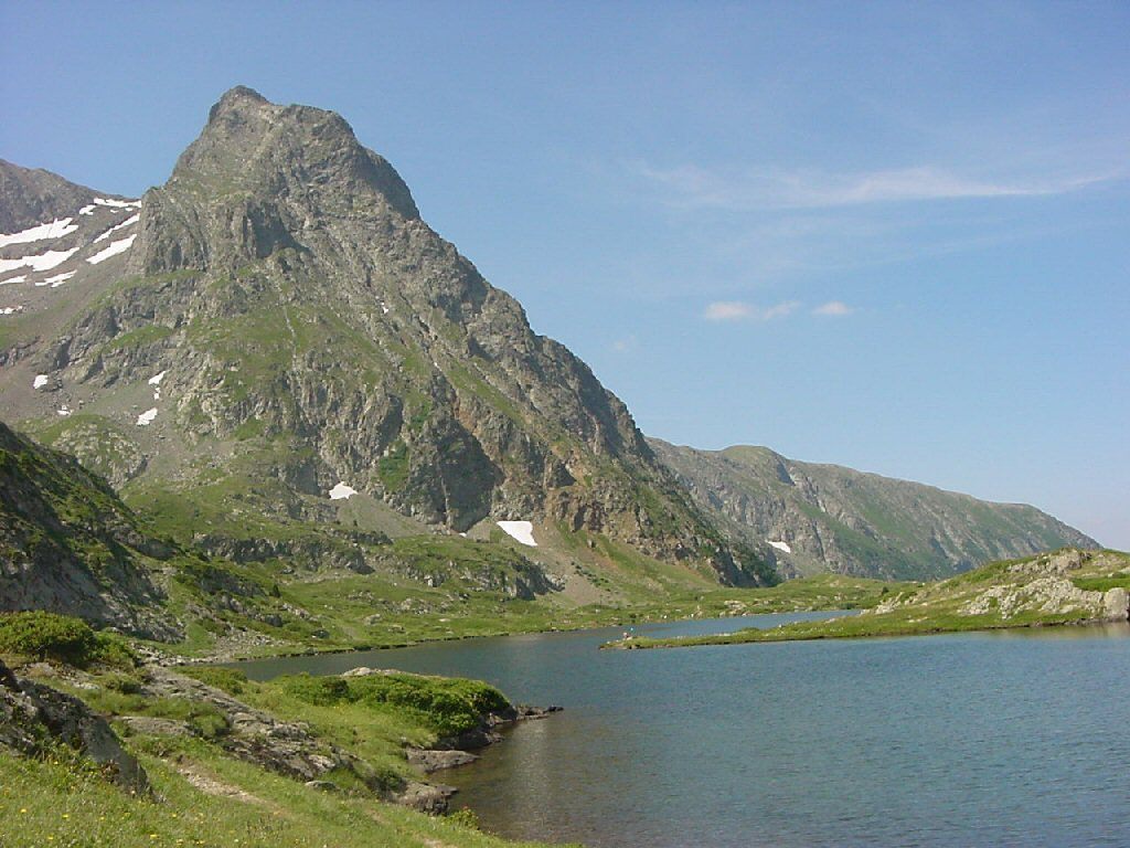 Przyroda