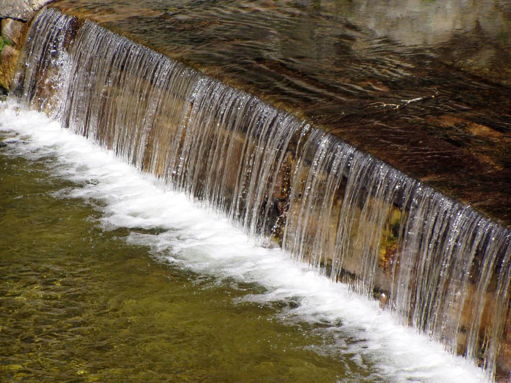 Przyroda